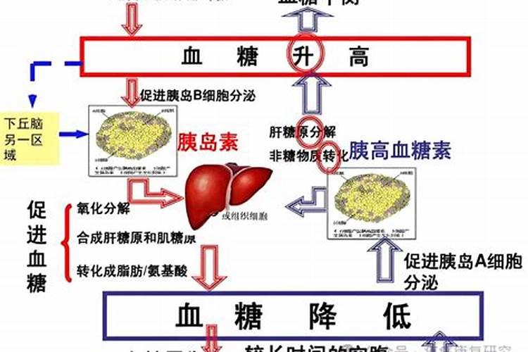 氨基酸叶面肥有哪些