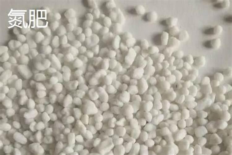 豆角种植期间该选择何种肥料？