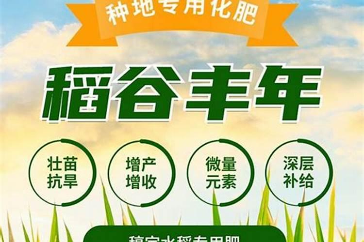 种植高产菠萝的施肥技巧有哪些？