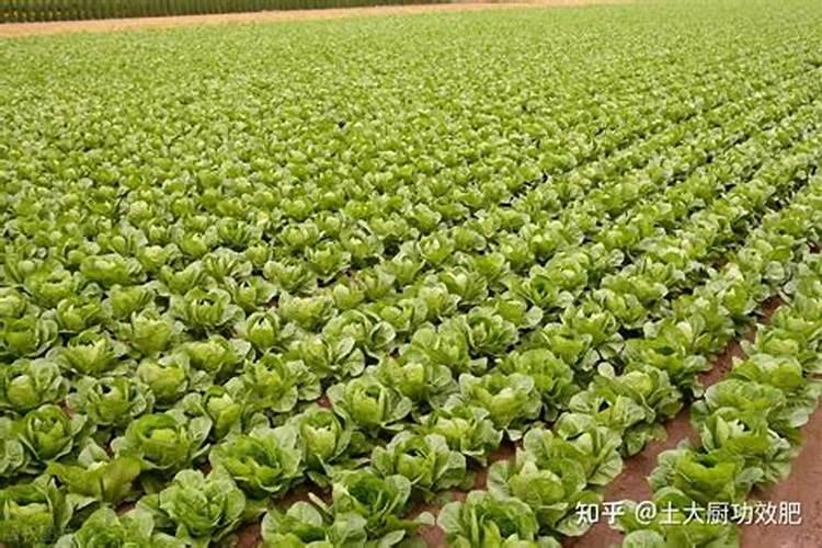 矿源黄腐酸钾执行标准