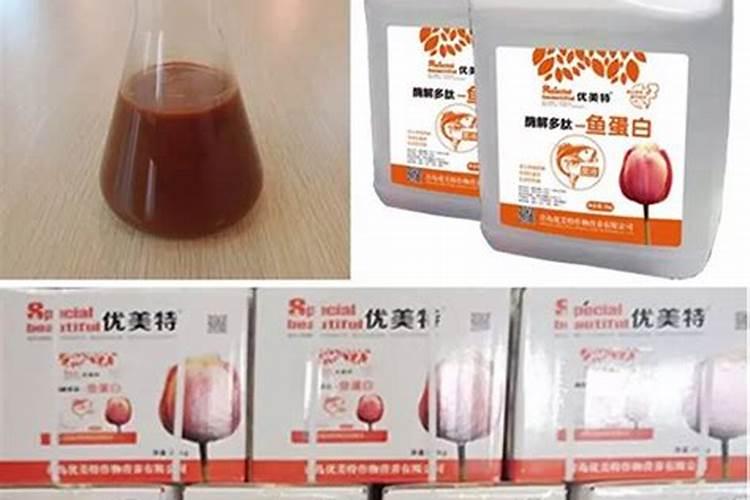 柑橘保花保果用什么药好