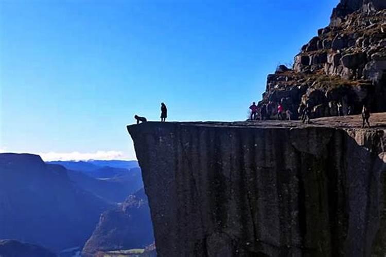 尿素可以浇绿萝吗