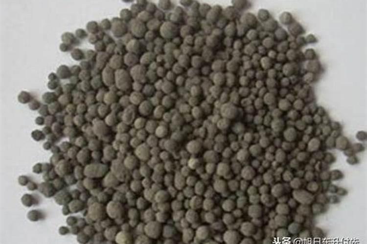 有哪些因素会影响植物的施肥量？