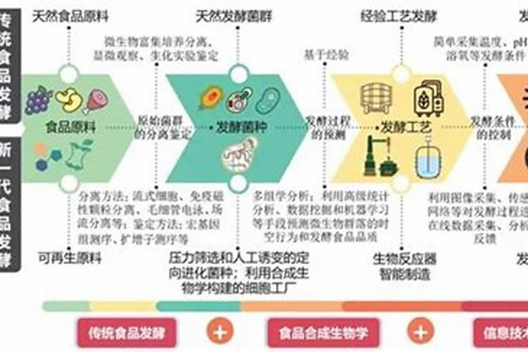 能否讲讲胡麻是什么？