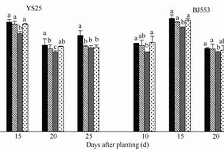 对于槟榔花装多果多这种情形,处理步骤的详细内容是什么？