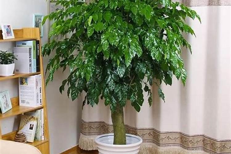 世界水溶肥前十品牌