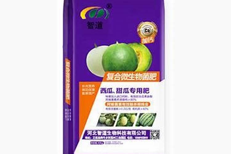 甜瓜促早熟的方法有哪些