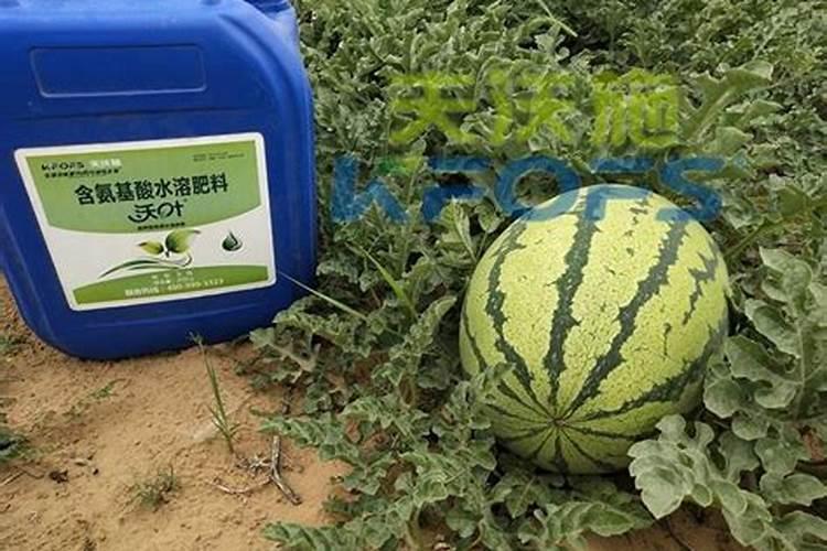 水溶肥中螯合态微量元素啥意思？