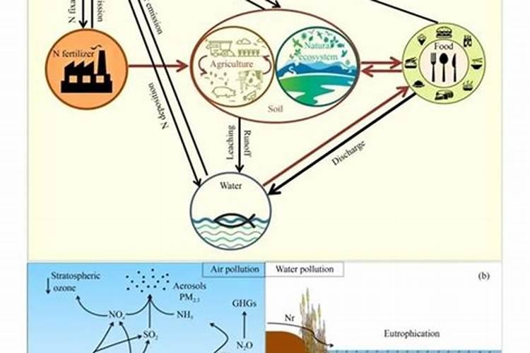 农田固氮植物的作用是什么