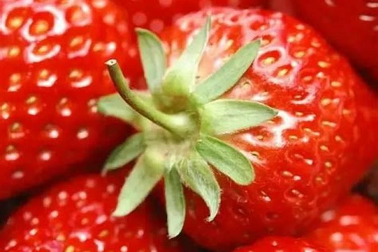 鱼蛋白肥料厂家前十名