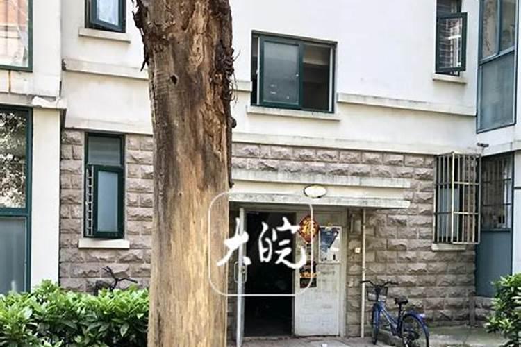 液态氮肥是什么