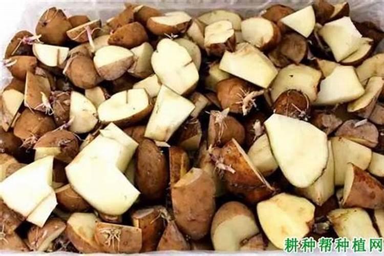 如何简单测量土壤墒情土壤墒情速测仪