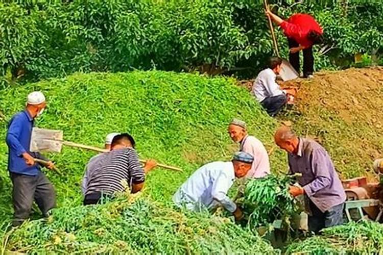 跪求!固体废物生物处理技术里面的,沤肥技术有哪些分类,特点,参数？具...