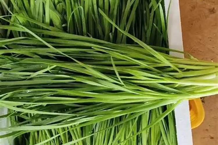 碱性肥是那种肥名？