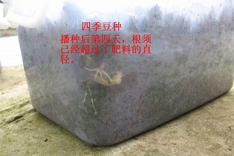 硅谷化肥是什么样的,效果咋样？具体的骗子闪开