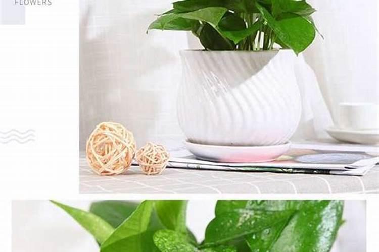 天然钾肥有哪些