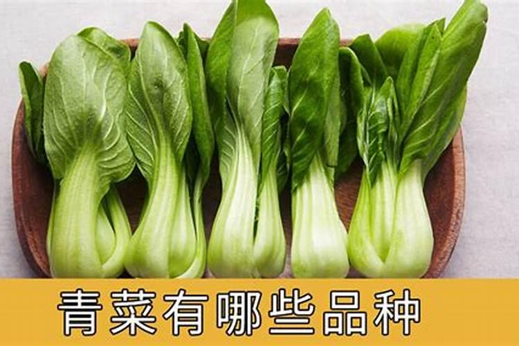 青菜施肥用复合还是尿素