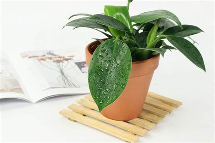 钙镁锌复合片作用