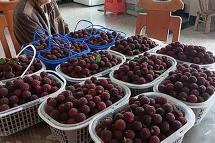 黄瓜缺氮肥是什么症状 防治方法有哪些