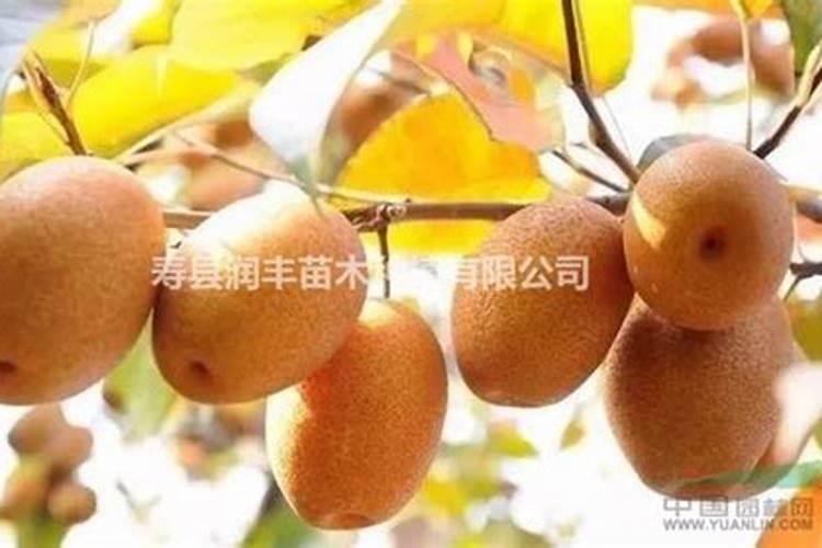 哪三个复合肥品牌堪称最佳？