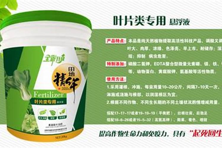 大蒜种下去没有施肥