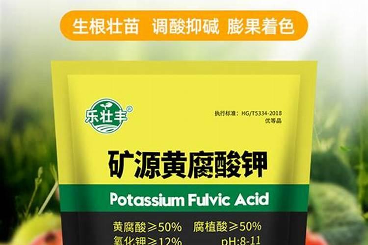 大蒜葱叶丢盆里,花像打了鸡血,蹭蹭蹭爬满阳台!