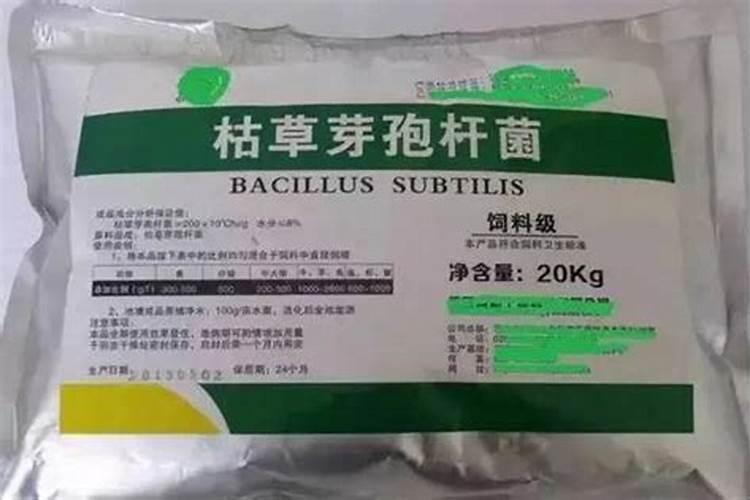 如何防治草莓灰霉病？