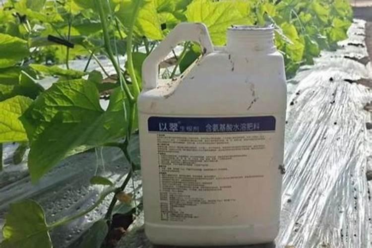 种百香果小苗,生根粉和肥料是怎么用的？