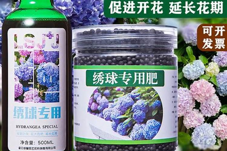 绣球用什么肥料最好