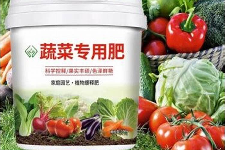 金煌芒为什么叫金煌芒