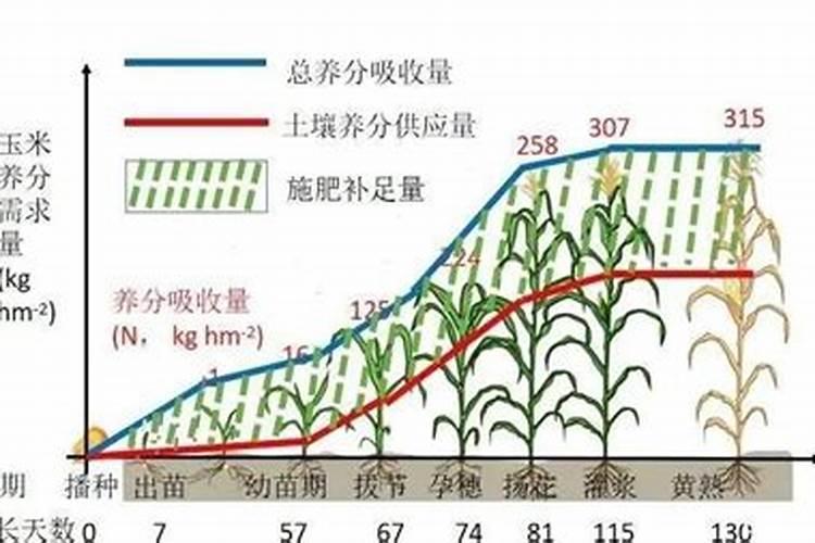 尿素做根外喷施的浓度时多少