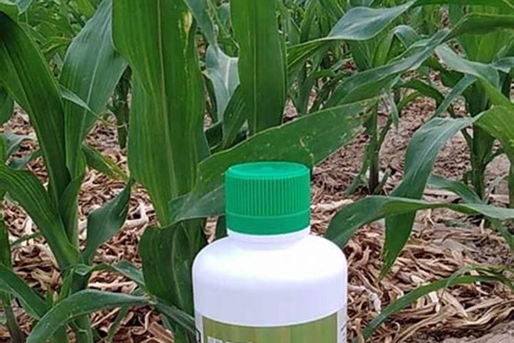 花用氮肥有哪些