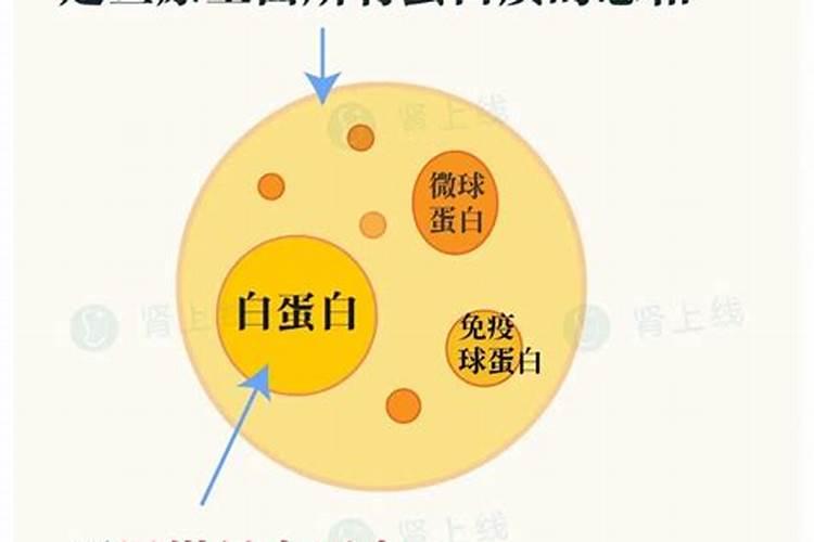 硫酸钾同氯化钾在对土壤的影响上有何不同
