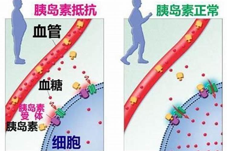 广西柳州绿威生物有机肥有限公司怎么样？