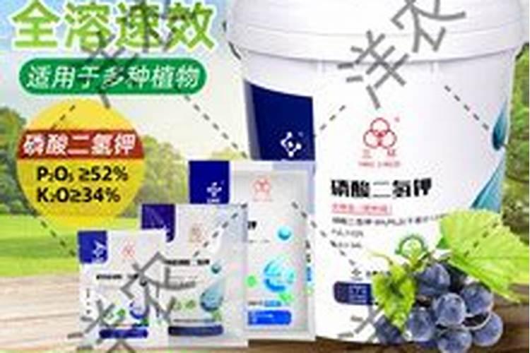 什么是生化黄腐酸钾