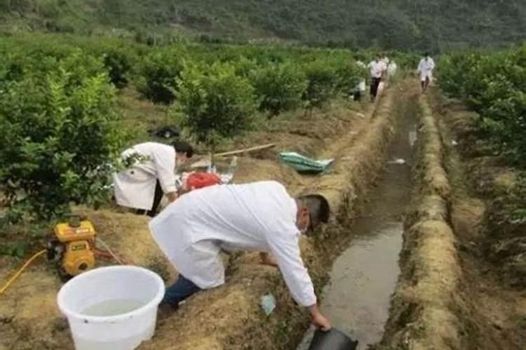 干酵母可以发酵花生麸吗