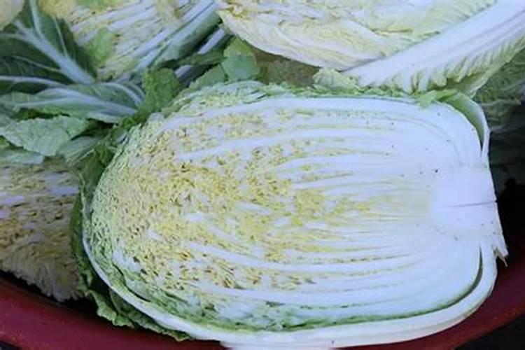 白菜最忌三种肥