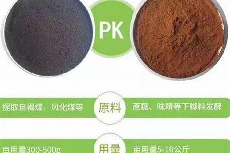 柳树在什么地方能生长