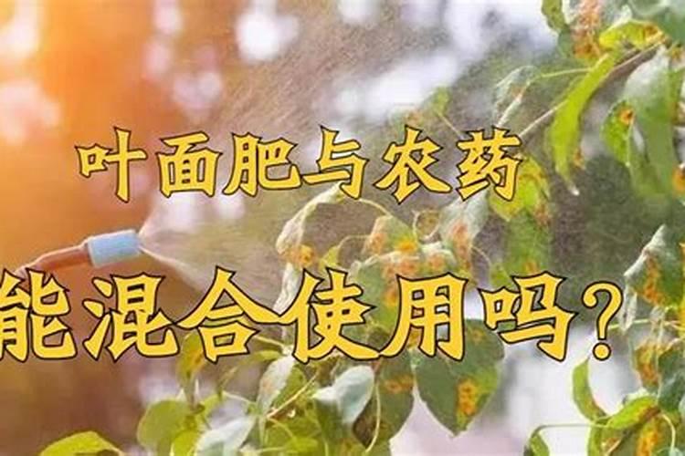 葡萄转色期该注意什么？如何进行管理？