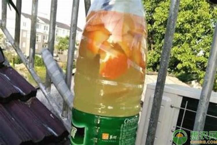 油菜种植用什么肥料比较好