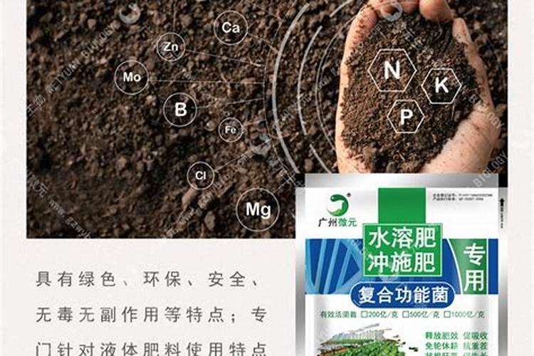 番茄缺镁症状和补救方法