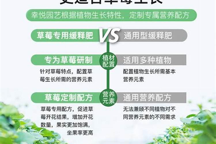 草莓如何变大