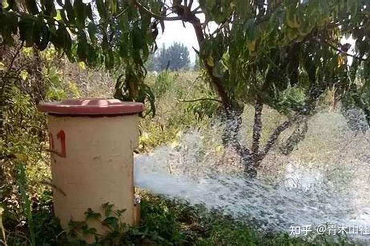 苹果树如何浇水方式好(苹果树灌溉用什么方法好)
