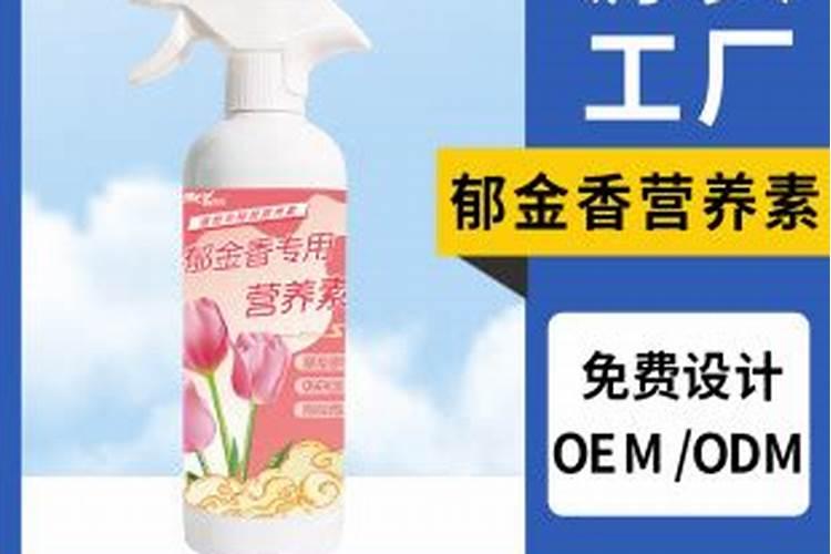 什么植物好养活生长快？