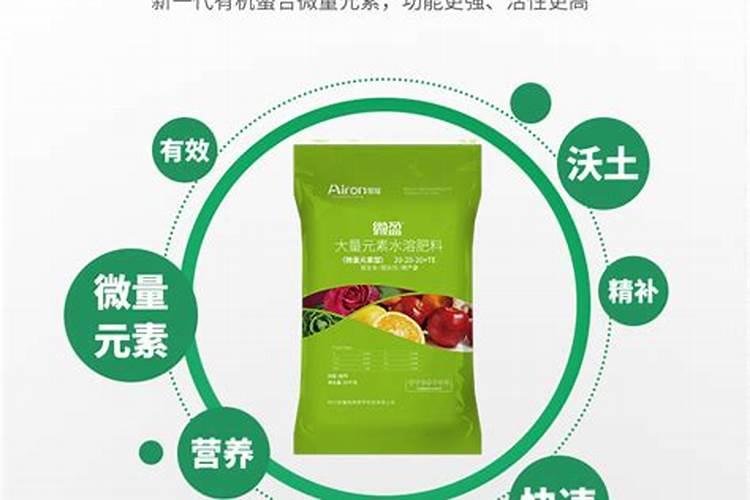 大姜的需肥特点是什么？种植大姜如何施肥？