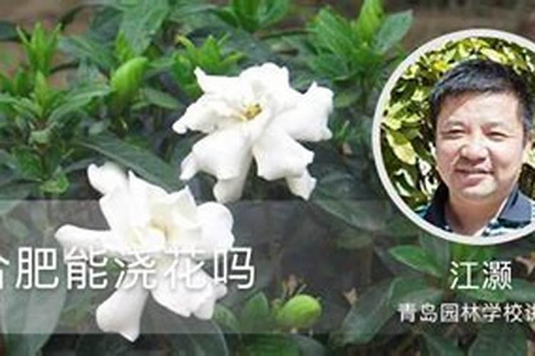 复合肥能泡水浇花吗,和直接放哪个好