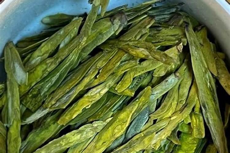 稻苗出来就是白色的是怎么回事呢？