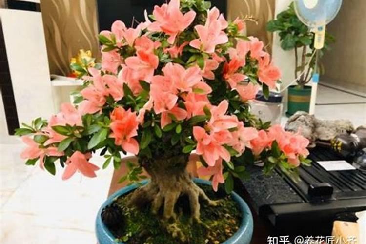 尿素解析ph值和氨氮的关系