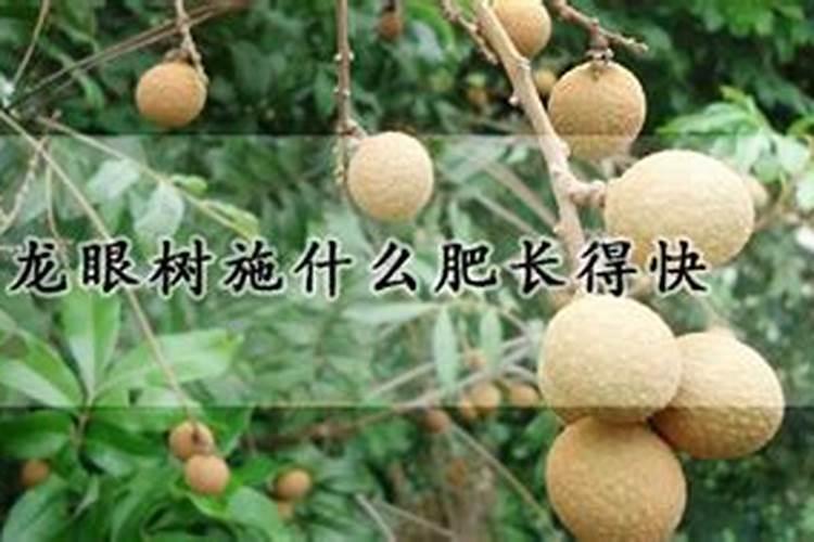 树木长粗用什么肥料