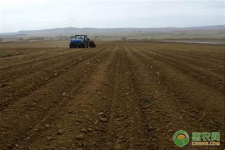 花卉放了营养土要浇水吗